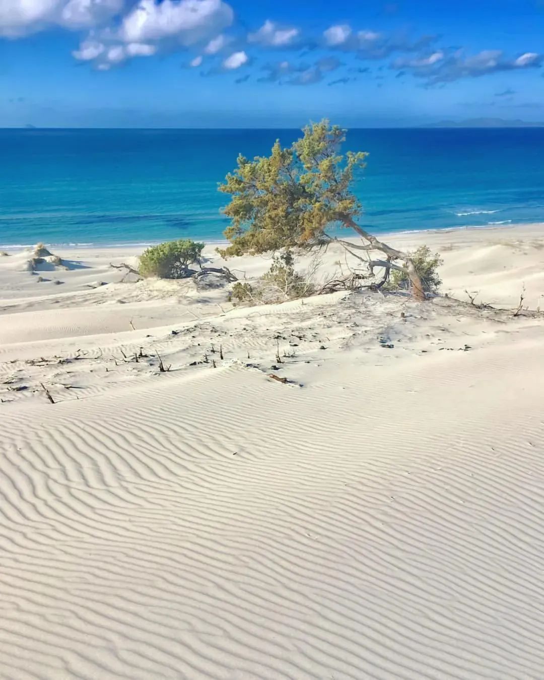 美丽|治愈一夏，盘点意大利最美的十个白色海滩