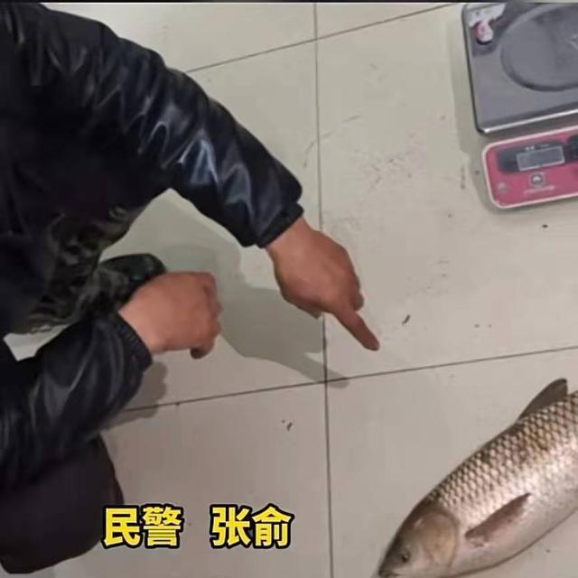 重庆|“钓鱼也会构成犯罪？”重庆一男子因钓鱼被拘，只因使用了高科技