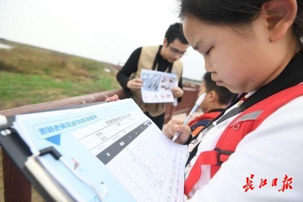 脱发|斑嘴鸭撅屁股、斑鸠爱“脱发”“湿地小卫士”记录到17种鸟