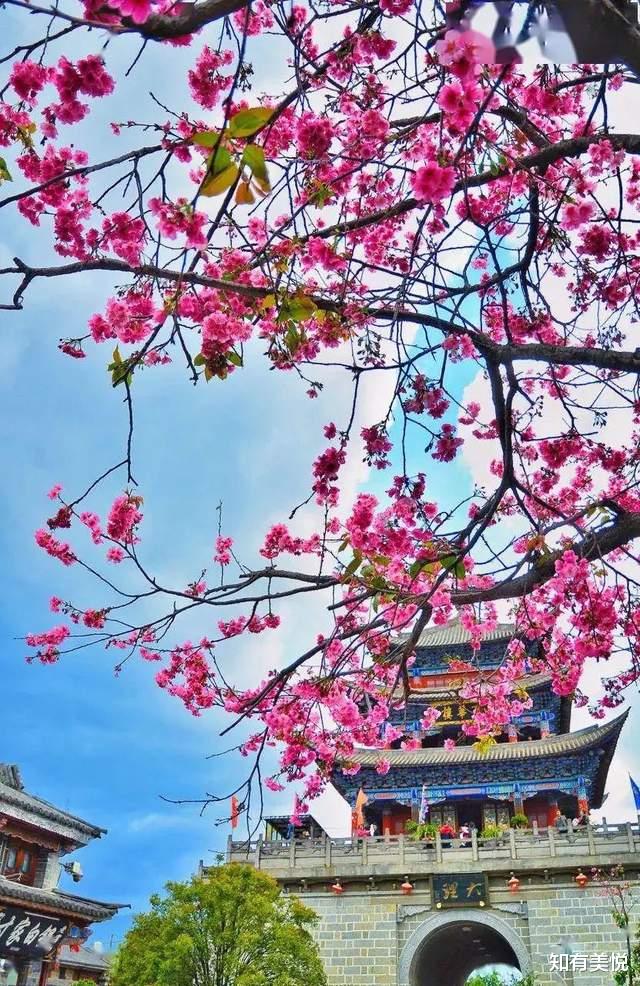 旅游业|太美了！6月最佳旅行目的地清单，这10个地方的夏天美如仙境！