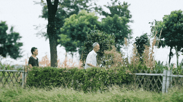 上海市|上海最美水上村落，一群高学历青年抱团生活