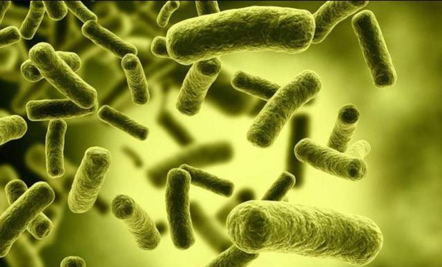 爱斯基摩人为什么一辈子都吃生肉?基因变异还是另有原因?