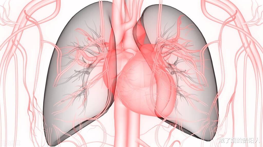 戒烟|戒烟失败?教你三招戒掉烟瘾