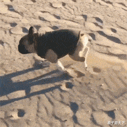 |43岁女星疑翻车!拒绝支付男演员月薪,被曝曾插足圈内人婚姻