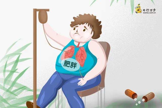 疾病 肥胖的根源是什么？减肥只是为了形象吗？这些问题关乎健康！