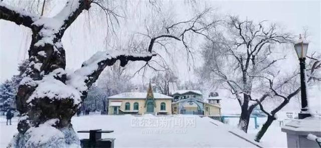 雪容融|下雪了，满街都是“雪容融”｜冰城人已经在冰场、雪地撒欢儿了
