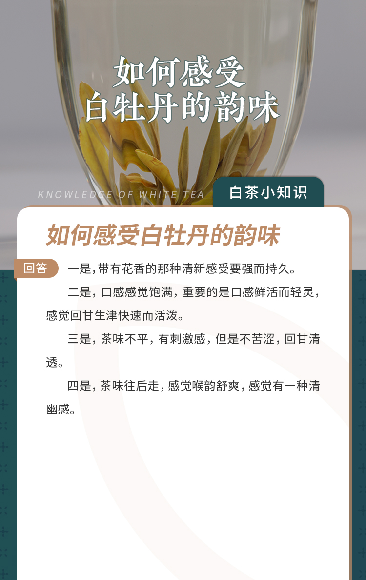 如何感受白牡丹的韵味