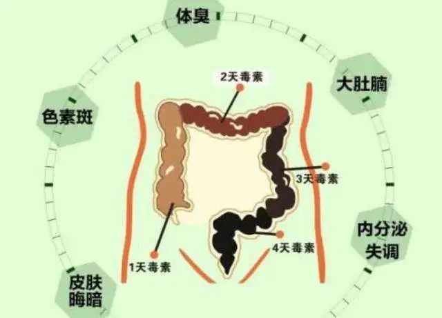 排便|老中医:教你清“宿便”,气色好!