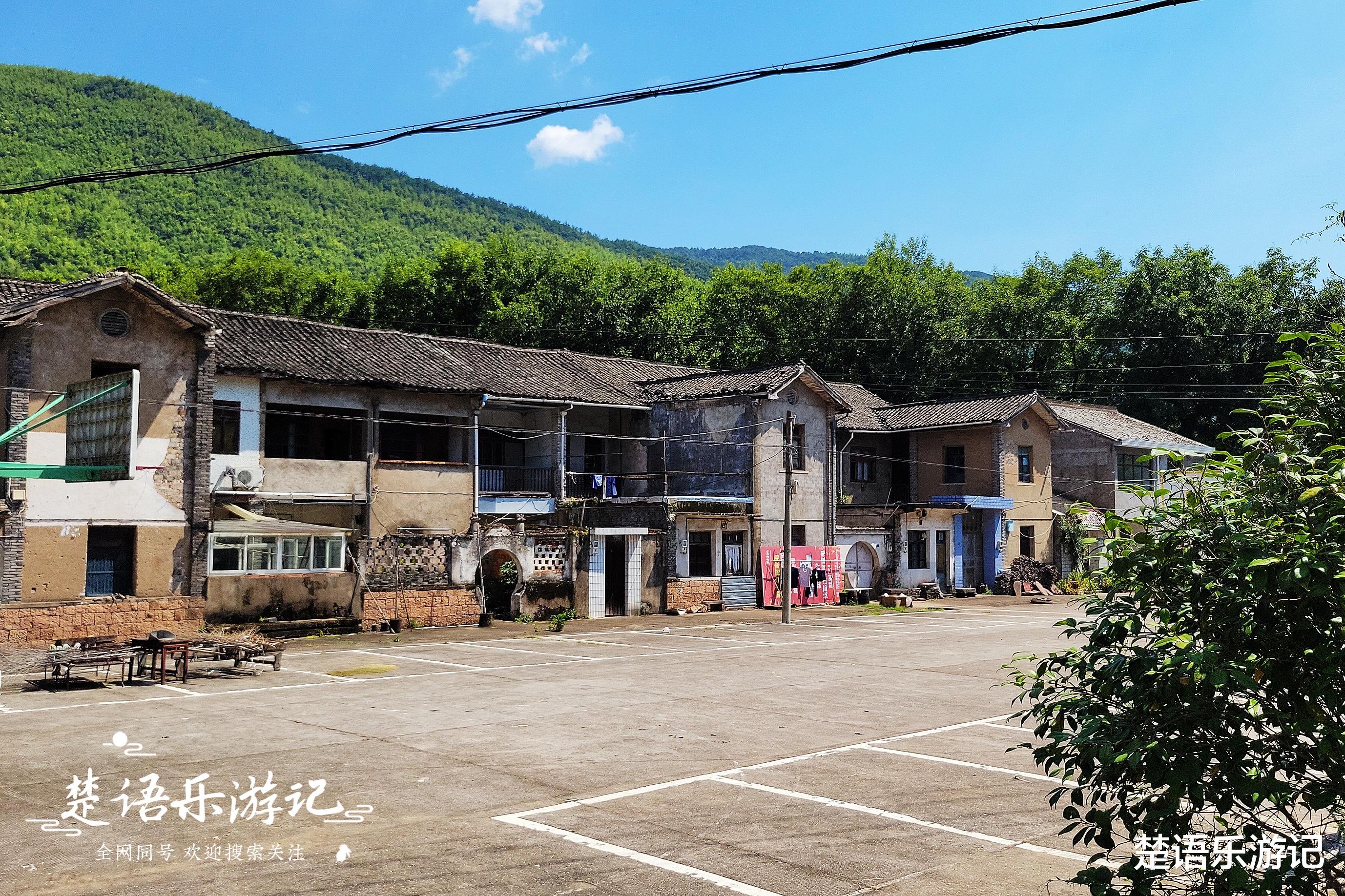宁波|宁波海曙与奉化交界发现一处玩水地，古树掩映很清凉，游人不多
