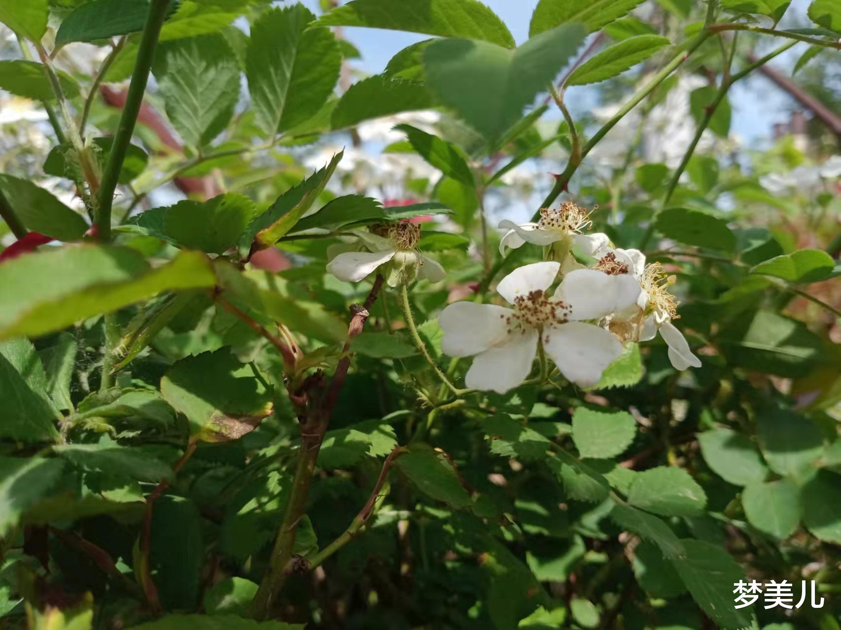 |没有金刚钻，别揽瓷器活儿