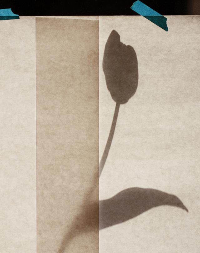 法国摄影师镜头里的“性冷淡”风，让商业摄影成为艺术大片