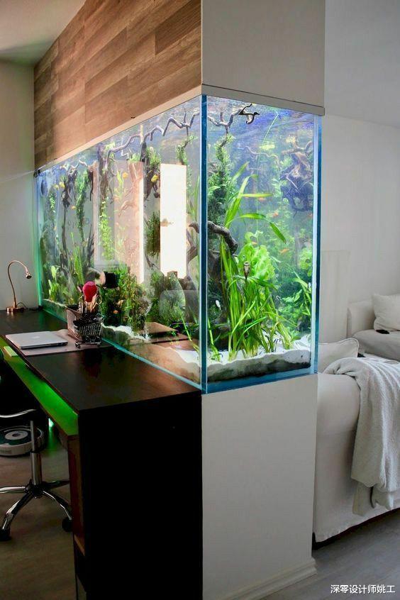 如今一个比一个会装修,喜欢养鱼或海洋的,家里6处试用水族箱端景