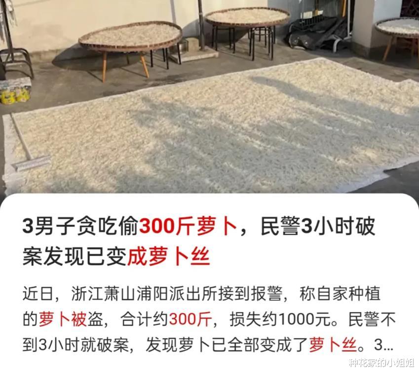 现实版偷菜!杭州一大爷300斤萝卜被偷,找到时已变成萝卜丝!