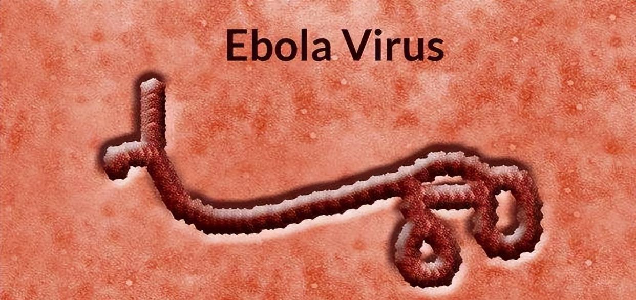 地球上的三种超强病毒，新冠就是个弟弟，人类原来如此脆弱