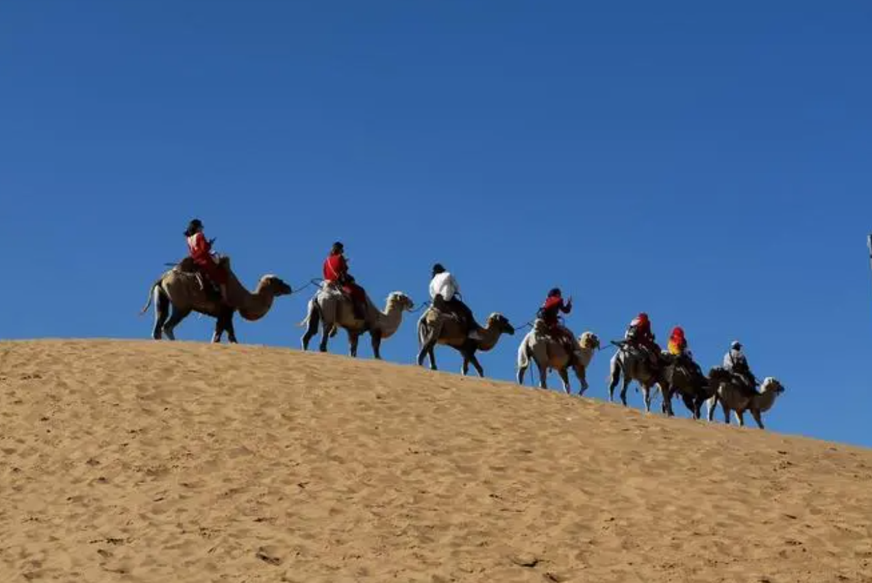 沙坡头|来中卫,不能错过的是,沙漠带来的快乐