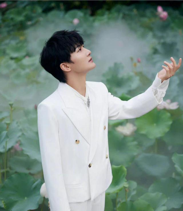 周深|虎扑男歌手喜爱值:刘德华断层登顶,周深未来可期,华晨宇太可惜