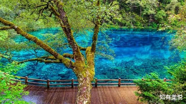 九寨沟|不用出国！国内这12大世界级风景美得不可思议！你去过几个呢？