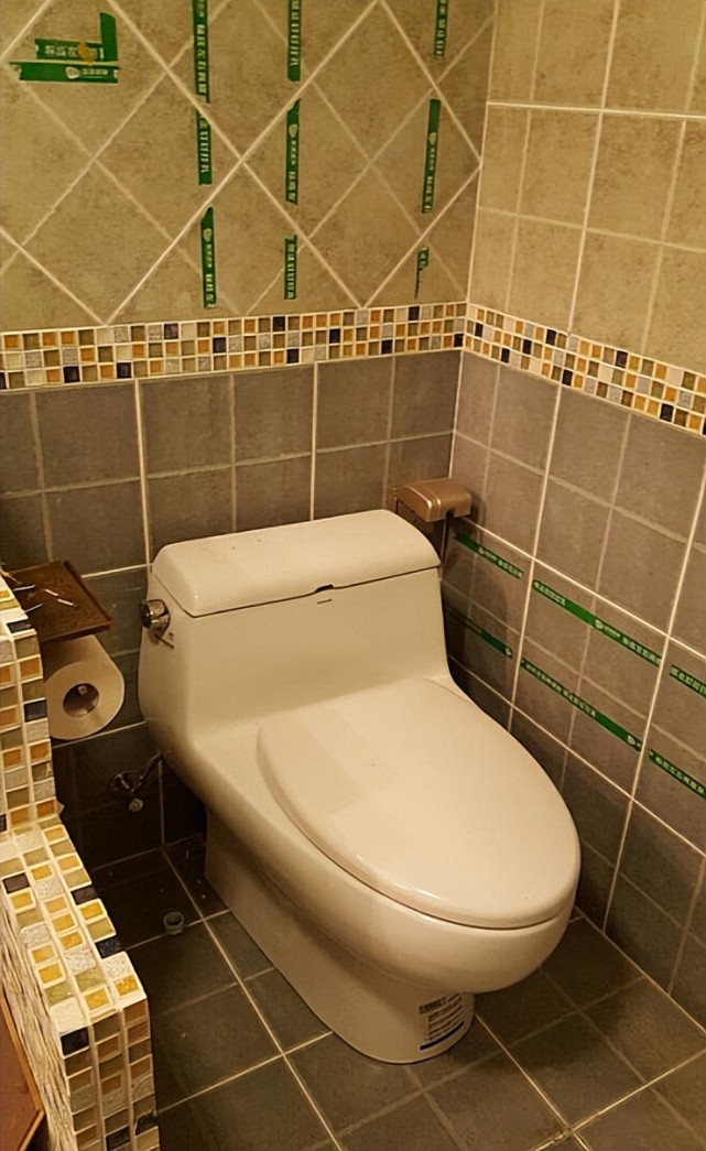 马桶旁边砌了半堵小矮墙,老婆说我脑子进浆糊,装修好她被打脸