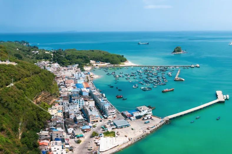 甘南|就没见过哪个过气网红,还能好看成这样的