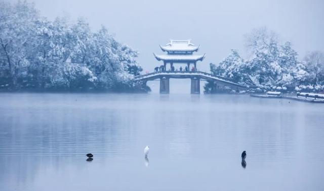 虎年拍雪不马虎,五个摄影技巧,把雪景照片拍得更漂亮
