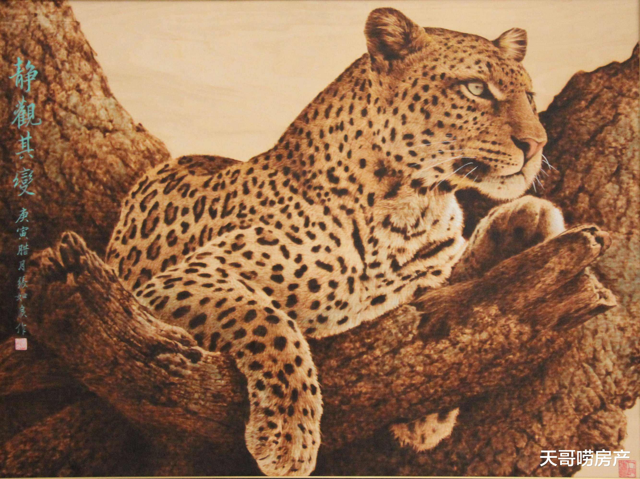 限购|重磅！南京二手房全面放开限购，市场大反弹要来？