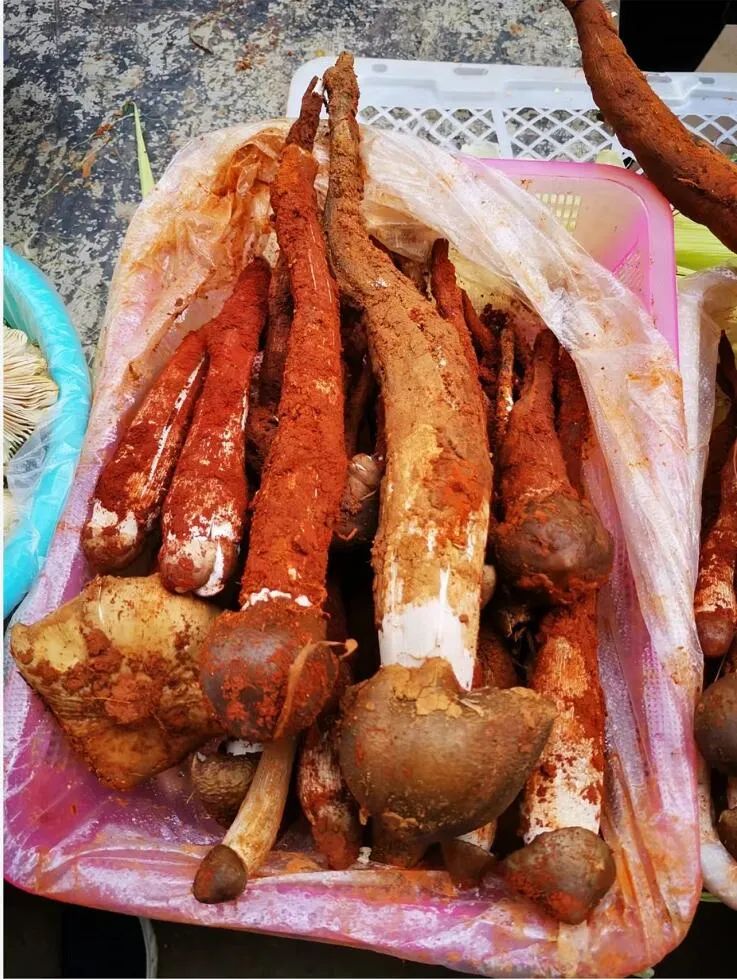 一年一度的云南人试毒大会开始了