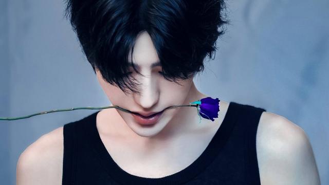 杨紫|娱乐大爆料：迪丽热巴、杨紫、蔡徐坤、程潇、沈腾、秦岚