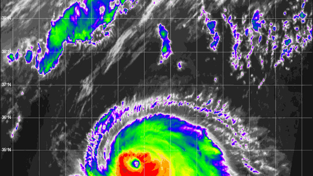 台风马鞍或12级登陆！更强冷空气将袭击南方，预报：长江雨还是少