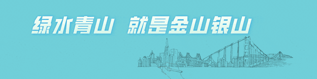 |“中国白头鹤之乡” 赏魅力湿地，游祥鹤福祉