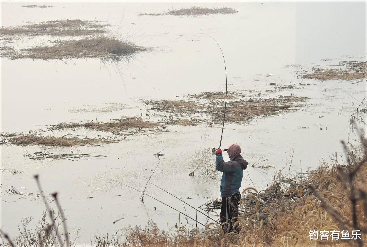 饵料|春季钓不到鲤鱼?从这三个方面入手试试