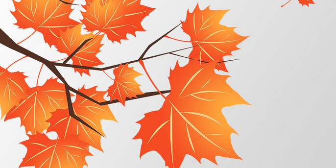 甲鱼|入秋之后天气转凉，想要少生病，这3件事不妨做好