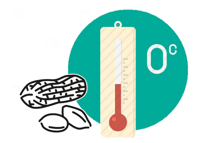 黄曲霉|肝癌的诱因:黄曲霉毒素! 提醒:4种食物发霉,别舍不得扔