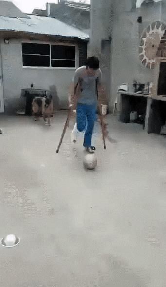 罕见有趣的真实照片:大鱼吃野果,金蝉脱壳,存活的远古生物
