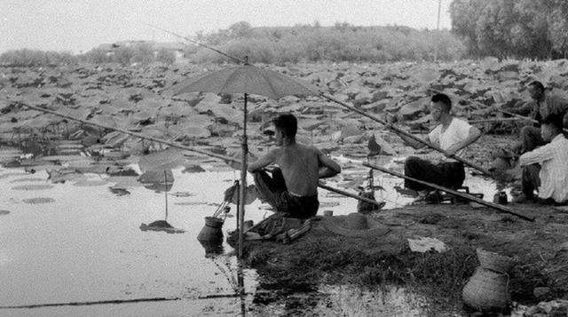 水库|将军视察水库,见水面阵阵涟漪,笑言:“拿我鱼竿来”