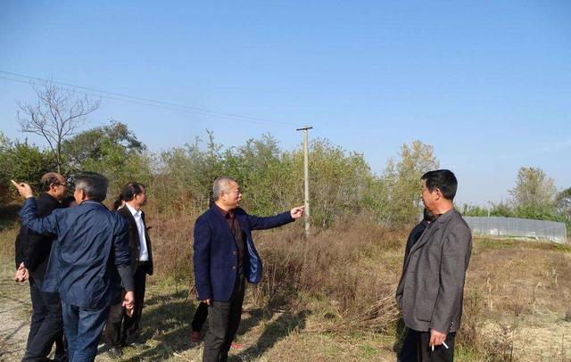 农村宅基地|农村宅基地或将迎来4项“禁令”？老家有房子的要注意了！