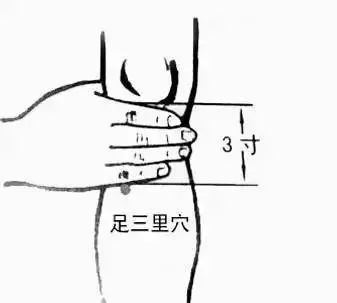 穴位 你过得好不好，别人不知道。但是你胖不胖，一眼就看出来了~