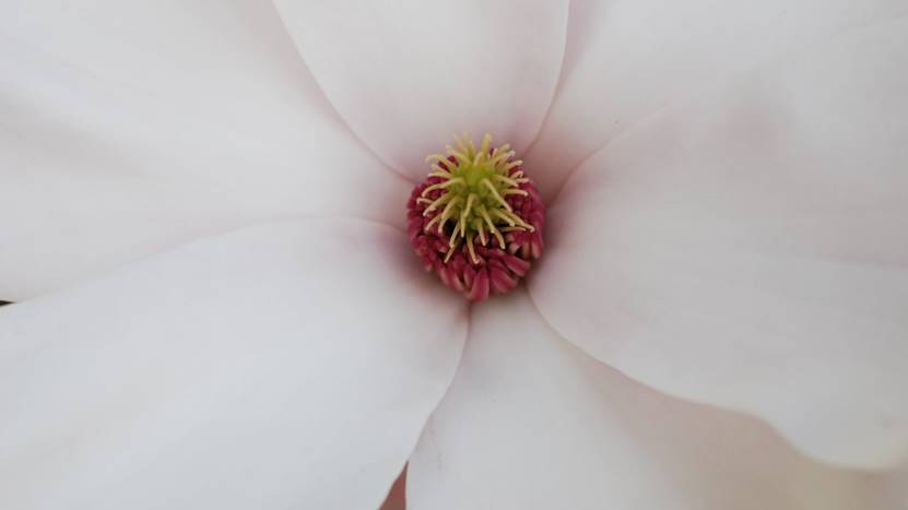 |理想主义是抑郁的帮凶,如果你不想整日郁闷,试试像高手一样思考