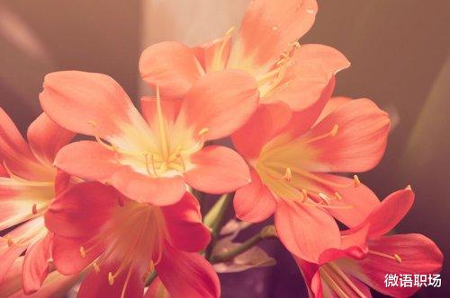 智商税|不懂人情世故，你拿什么混社会？7条职场为人处世之道，醍醐灌顶