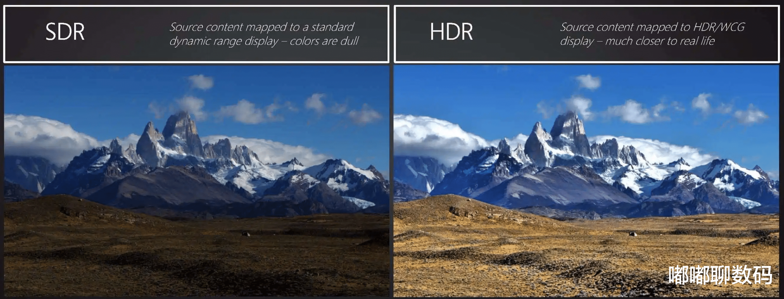 数据库|HDR视频渐成趋势！B站早已布局，华硕无双120Hz OLED屏成首选设备