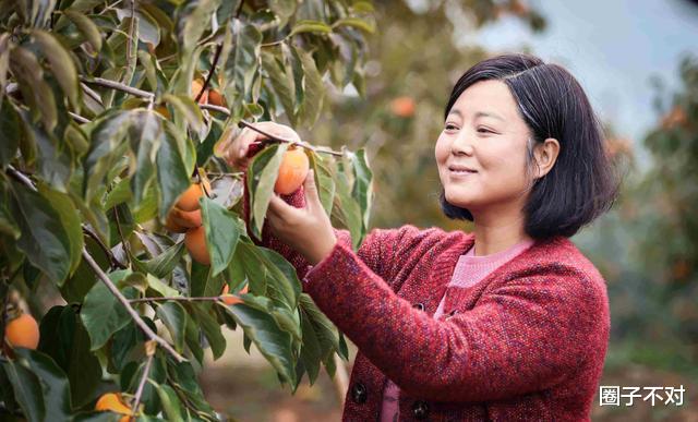 陈昊森|“农村一姐”王茜华：恋爱不到一年闪婚，二婚嫁导演40岁艰难生子