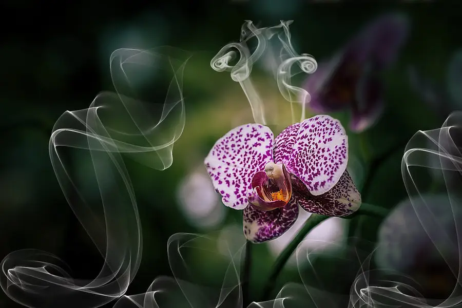 |聪明人在职场永远不会碰的三条线！！！