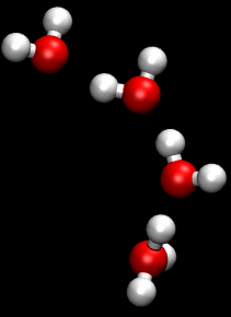 生物进化普遍选择的是衰老,而不是永生,这究竟是为什么?