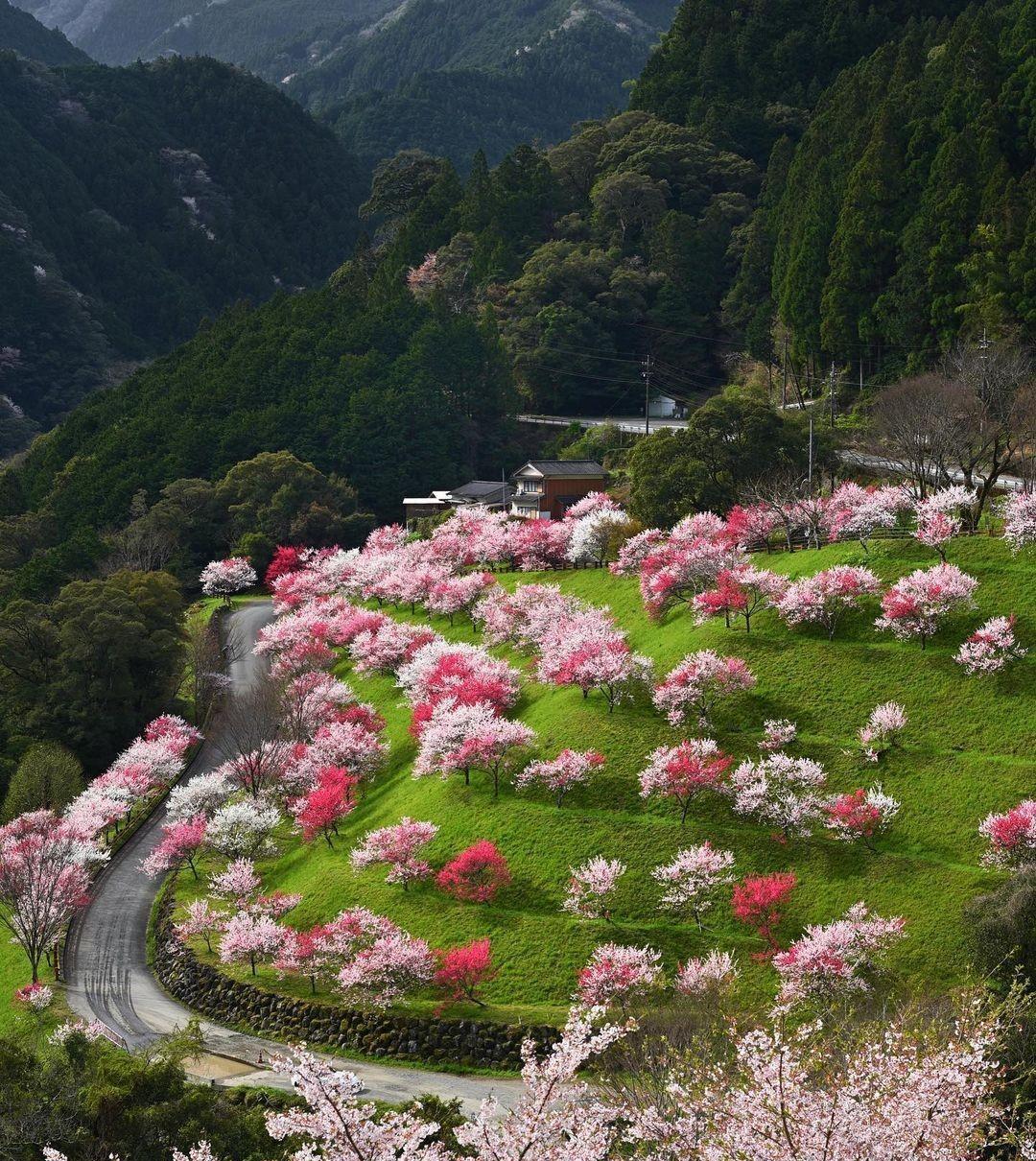 |自己把自己当个人物，最后就能成为人物