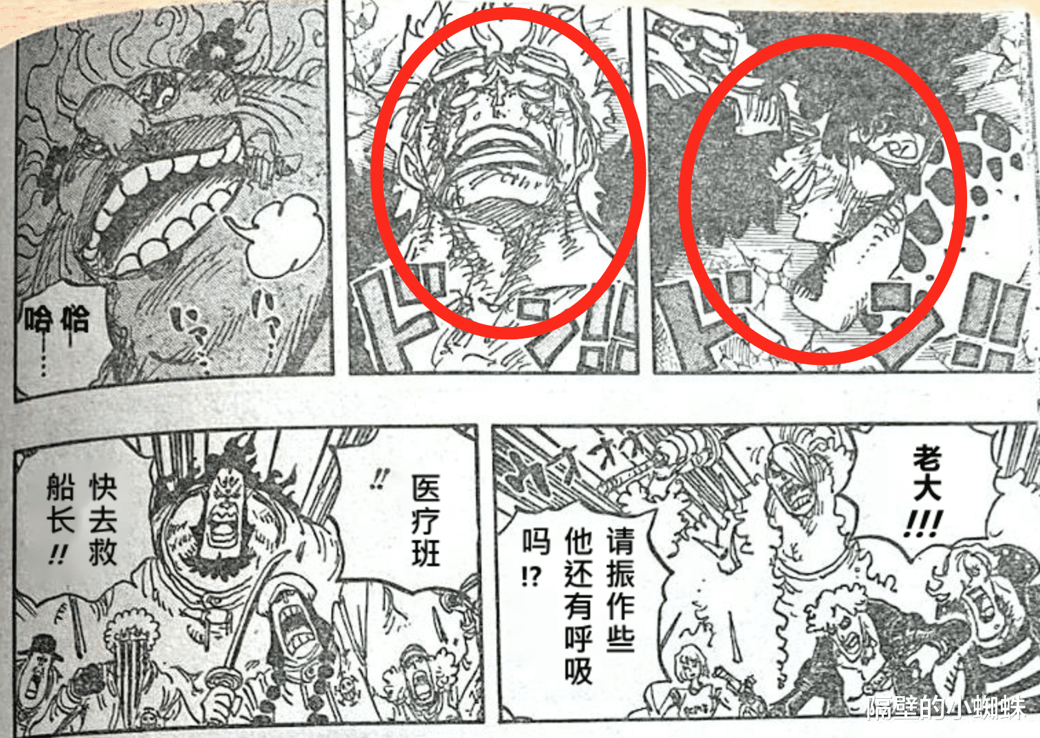 海贼王|海贼王1038话分析，罗和基德再战bigmom，两人赢的几率很高