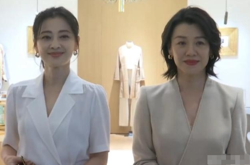 梅婷|刘琳拒演《父母爱情》,梅婷极力劝说,最终成就经典