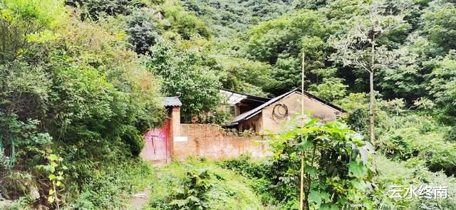 舍利塔|这么多皇上都到人头山玩，原来这里可以吃到“仙人果”