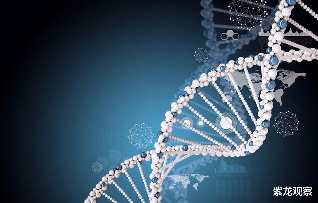 陨石中有DNA,中国又一重大新发现,为早期生命遗传学鉴定基础