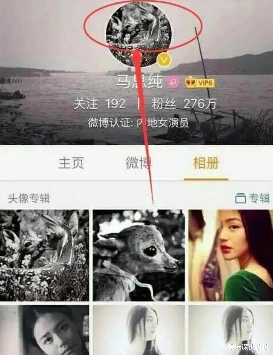 刘浩存|盘点因为参加快乐大本营而被骂惨的明星,是真绿茶还是无心之失?