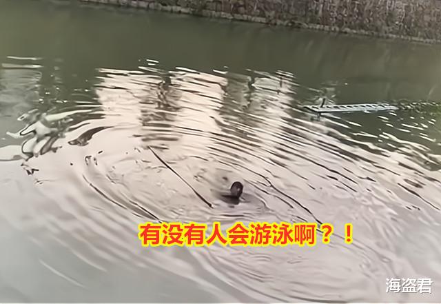 女子闹情绪跳河,男友不会游泳为救她溺亡,女子获救后望着水面愣神