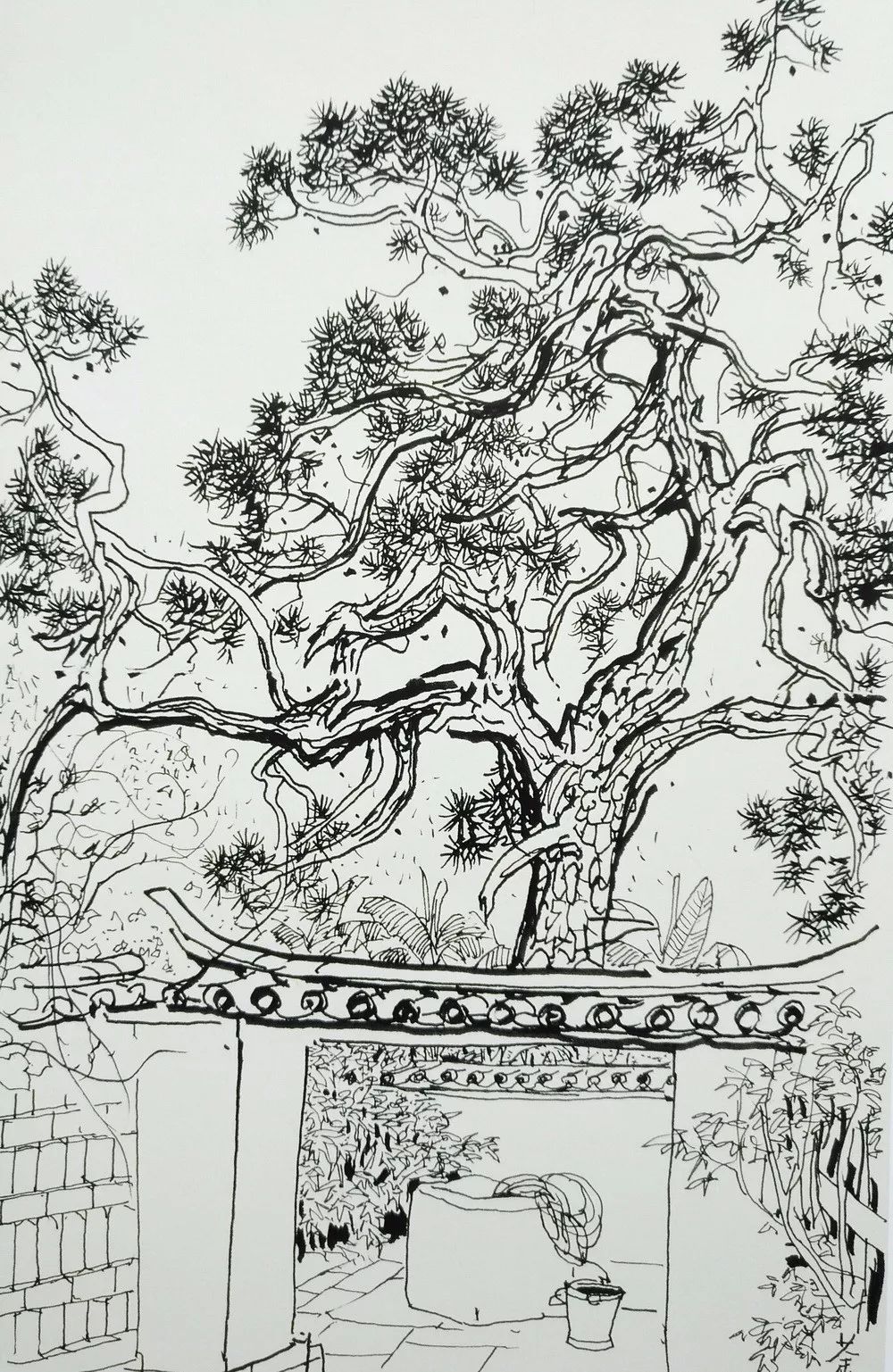 当代著名画家,吴冠中速写!#兰州画室#艺考
